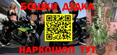 кокс Нальчик