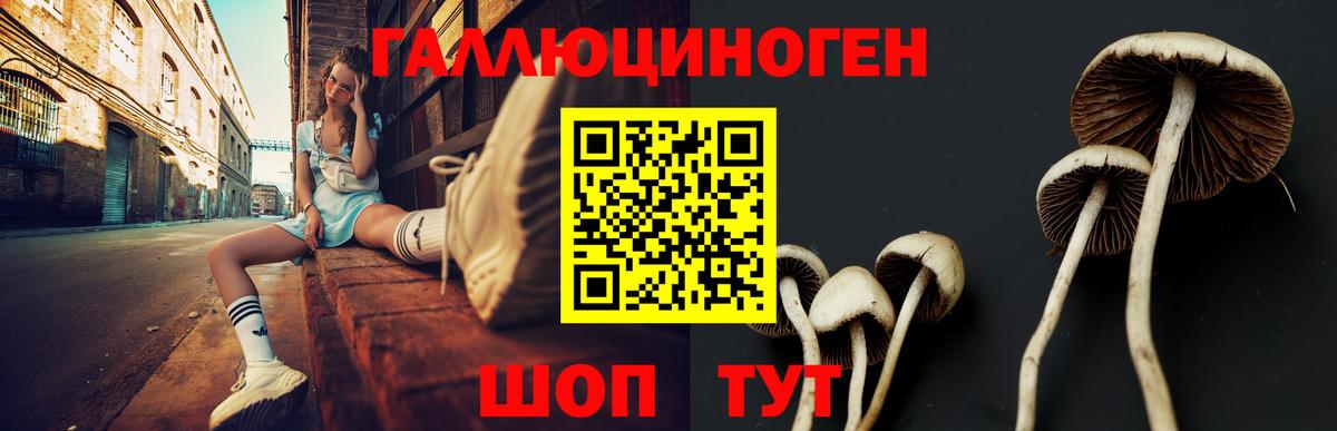 как найти закладки  Вход с VPN  Псилоцибиновые грибы GOLDEN TEACHER  Тобольск  Галлюциногенные грибы Psilocybine cubensis 